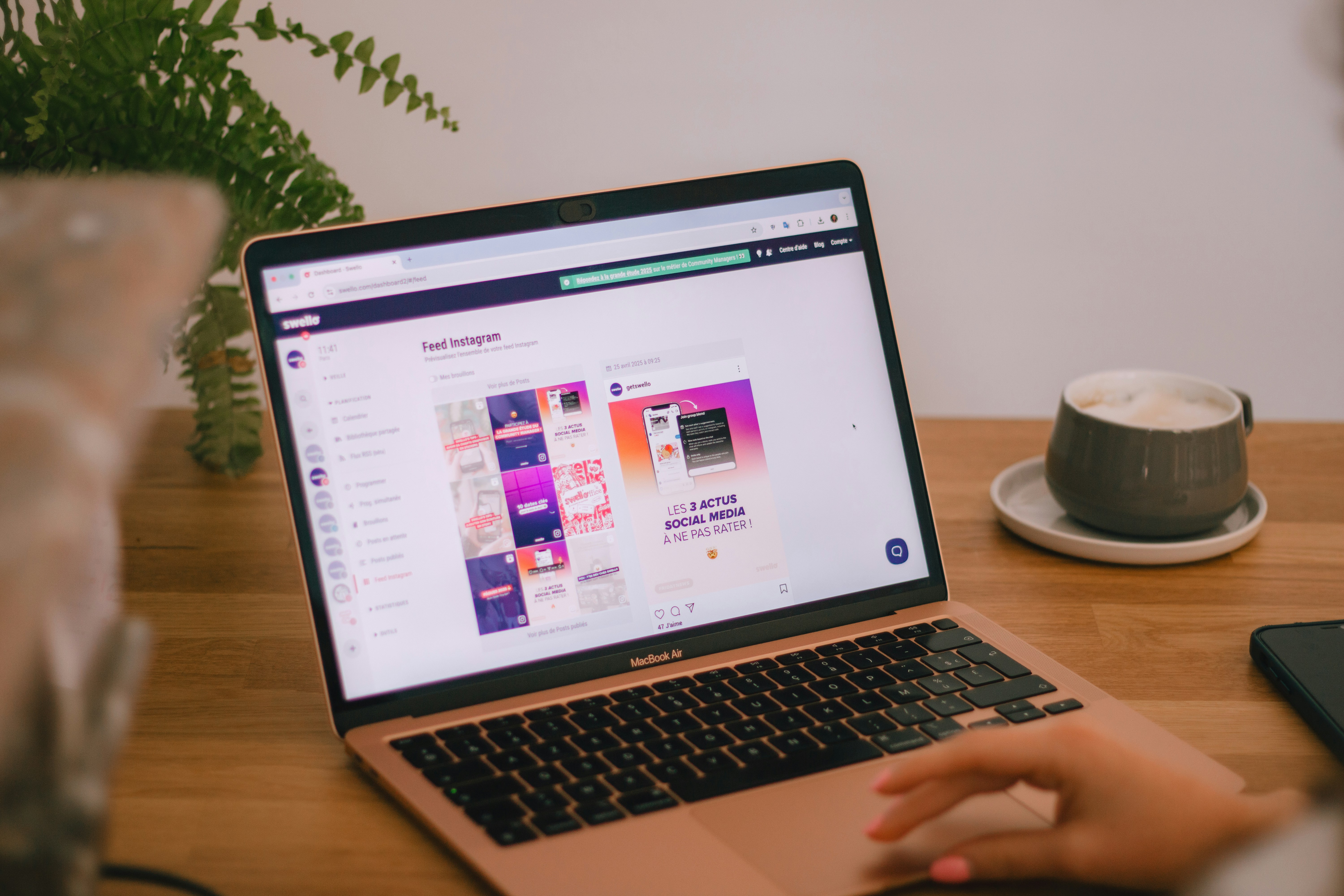 swello-_yJ-_uDYt5M-unsplash.jpg
